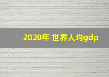 2020年 世界人均gdp